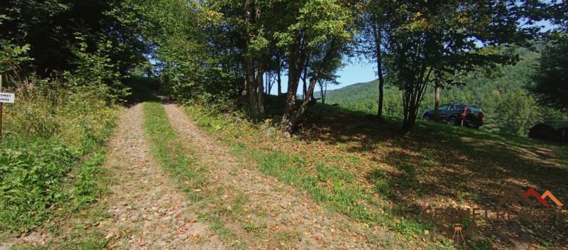 d5612559-7235-46b7-8b2e-af16a260f6a9 (1).jpg